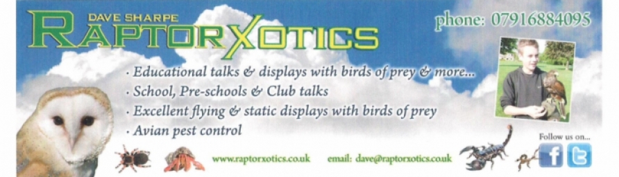 www.raptorxotics.co.uk Logo